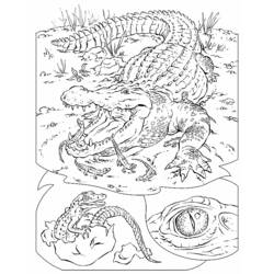 Coloring page: Crocodile (Animals) #4820 - Free Printable Coloring Pages