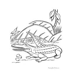 Coloring page: Crocodile (Animals) #4827 - Free Printable Coloring Pages