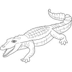Coloring page: Crocodile (Animals) #4829 - Free Printable Coloring Pages