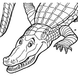 Coloring page: Crocodile (Animals) #4844 - Free Printable Coloring Pages