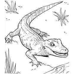 Coloring page: Crocodile (Animals) #4903 - Printable coloring pages