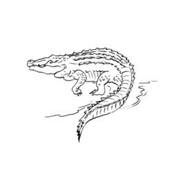 Coloring page: Crocodile (Animals) #4909 - Printable coloring pages