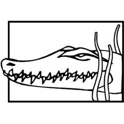 Coloring page: Crocodile (Animals) #4916 - Free Printable Coloring Pages