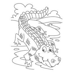Coloring page: Crocodile (Animals) #4924 - Free Printable Coloring Pages