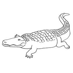 Coloring page: Crocodile (Animals) #4950 - Printable coloring pages