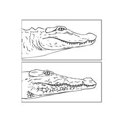 Coloring page: Crocodile (Animals) #4978 - Free Printable Coloring Pages