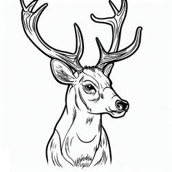 Deer (Animals) coloring page #191040 to print and color