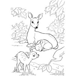 Coloring page: Deer (Animals) #2565 - Free Printable Coloring Pages