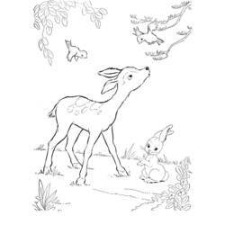 Coloring page: Deer (Animals) #2574 - Free Printable Coloring Pages