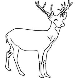 Coloring page: Deer (Animals) #2582 - Printable coloring pages
