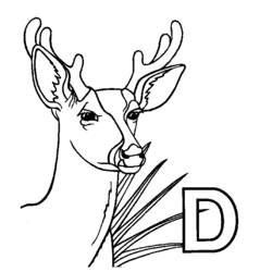 Coloring page: Deer (Animals) #2588 - Free Printable Coloring Pages