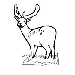 Coloring page: Deer (Animals) #2595 - Free Printable Coloring Pages