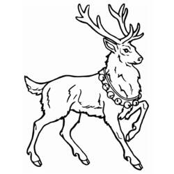 Coloring page: Deer (Animals) #2597 - Free Printable Coloring Pages