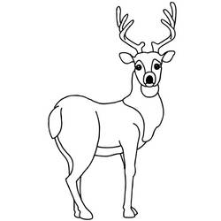 Coloring page: Deer (Animals) #2603 - Free Printable Coloring Pages