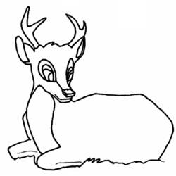 Coloring page: Deer (Animals) #2620 - Free Printable Coloring Pages