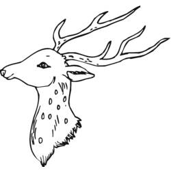 Coloring page: Deer (Animals) #2633 - Free Printable Coloring Pages