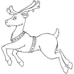 Coloring page: Deer (Animals) #2643 - Free Printable Coloring Pages