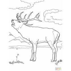 Coloring page: Deer (Animals) #2653 - Free Printable Coloring Pages