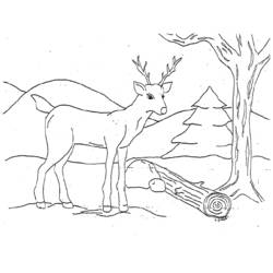 Coloring page: Deer (Animals) #2658 - Free Printable Coloring Pages