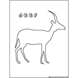 Coloring page: Deer (Animals) #2673 - Free Printable Coloring Pages