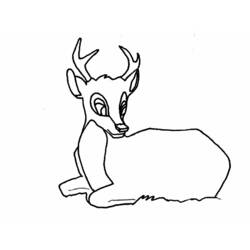 Coloring page: Deer (Animals) #2677 - Free Printable Coloring Pages