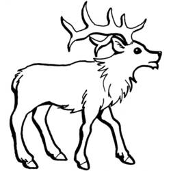 Coloring page: Deer (Animals) #2681 - Printable coloring pages