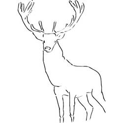 Coloring page: Deer (Animals) #2682 - Free Printable Coloring Pages