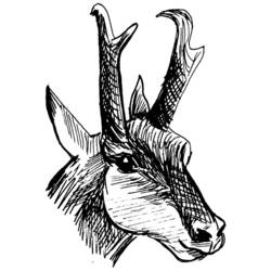 Coloring page: Deer (Animals) #2701 - Free Printable Coloring Pages