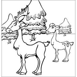 Coloring page: Deer (Animals) #2729 - Free Printable Coloring Pages