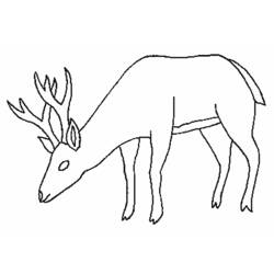 Coloring page: Deer (Animals) #2732 - Free Printable Coloring Pages