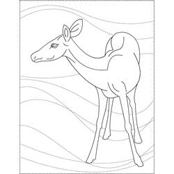 Coloring page: Deer (Animals) #2734 - Free Printable Coloring Pages