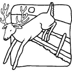 Coloring page: Deer (Animals) #2741 - Free Printable Coloring Pages