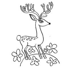 Coloring page: Deer (Animals) #2745 - Free Printable Coloring Pages