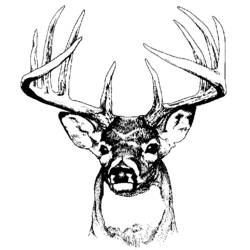 Coloring page: Deer (Animals) #2746 - Free Printable Coloring Pages