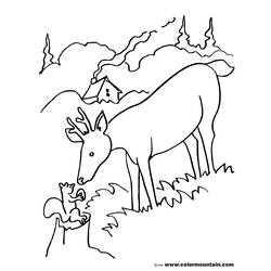 Coloring page: Deer (Animals) #2753 - Free Printable Coloring Pages