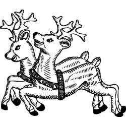 Coloring page: Deer (Animals) #2755 - Free Printable Coloring Pages