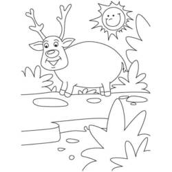 Coloring page: Deer (Animals) #2758 - Free Printable Coloring Pages