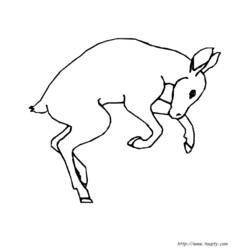 Coloring page: Doe (Animals) #1100 - Printable coloring pages
