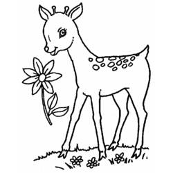 Coloring page: Doe (Animals) #1101 - Printable coloring pages