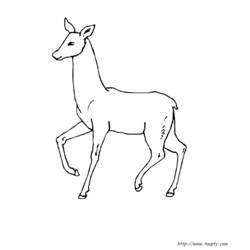 Coloring page: Doe (Animals) #1102 - Printable coloring pages