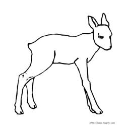 Coloring page: Doe (Animals) #1115 - Free Printable Coloring Pages