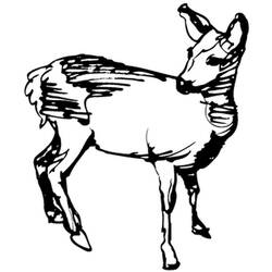 Coloring page: Doe (Animals) #1123 - Free Printable Coloring Pages