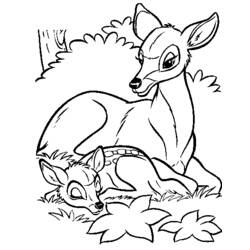 Coloring page: Doe (Animals) #1162 - Printable coloring pages
