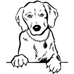 Coloring page: Dog (Animals) #18 - Printable coloring pages