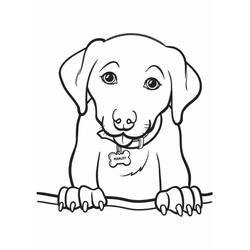 Dog (Animals) coloring page #182758 to print and color