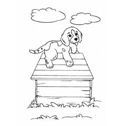 Dog (Animals) coloring page #182784 to print and color