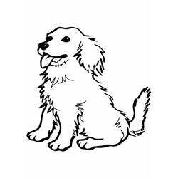 Dog (Animals) coloring page #182796 to print and color