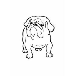 Dog (Animals) coloring page #182815 to print and color