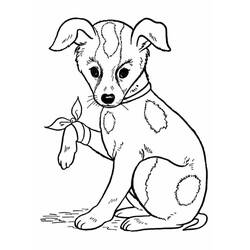 Dog (Animals) coloring page #182818 to print and color
