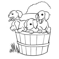 Dog (Animals) coloring page #182820 to print and color